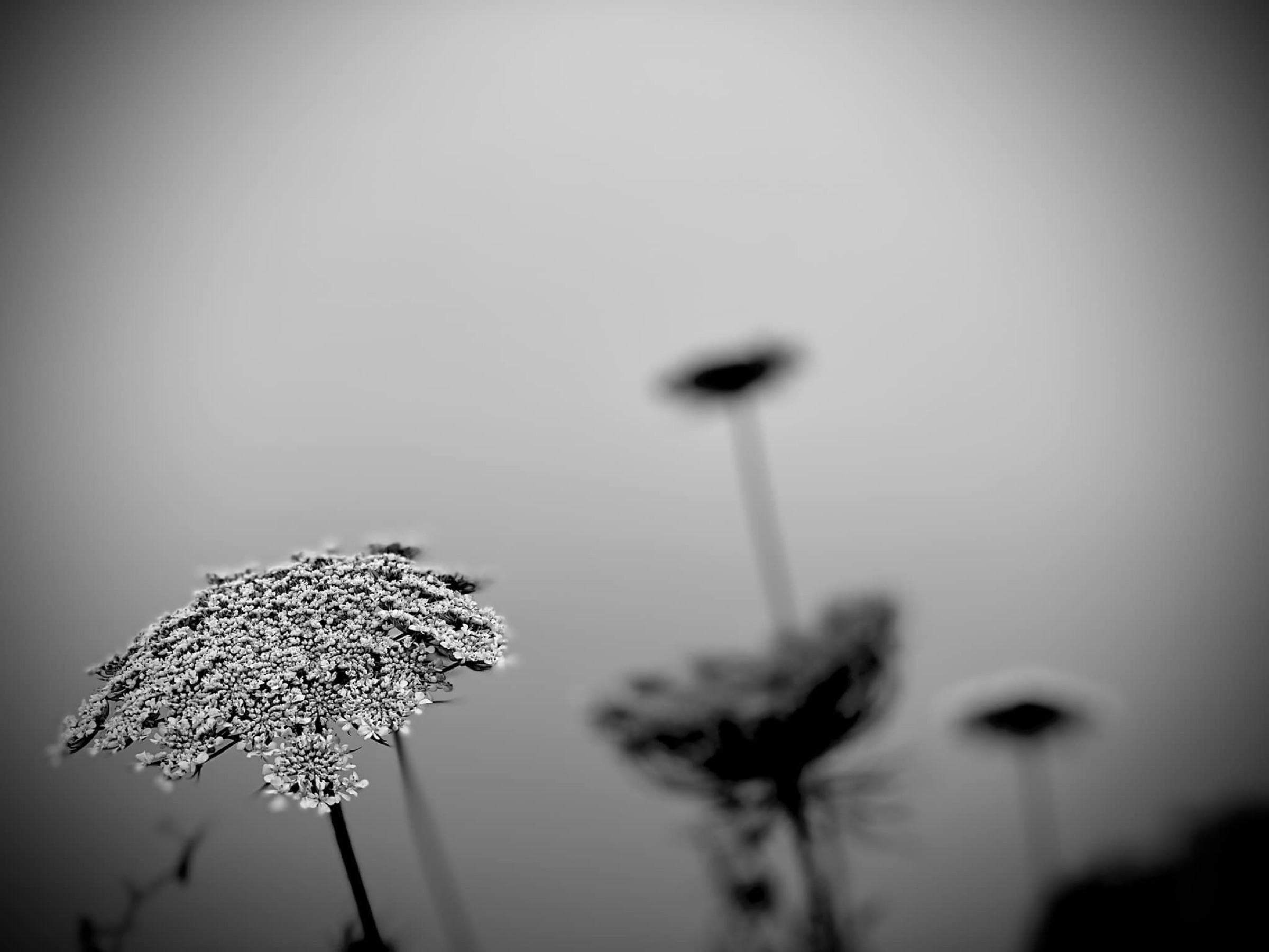 The Shape of Waiting, photograph 3