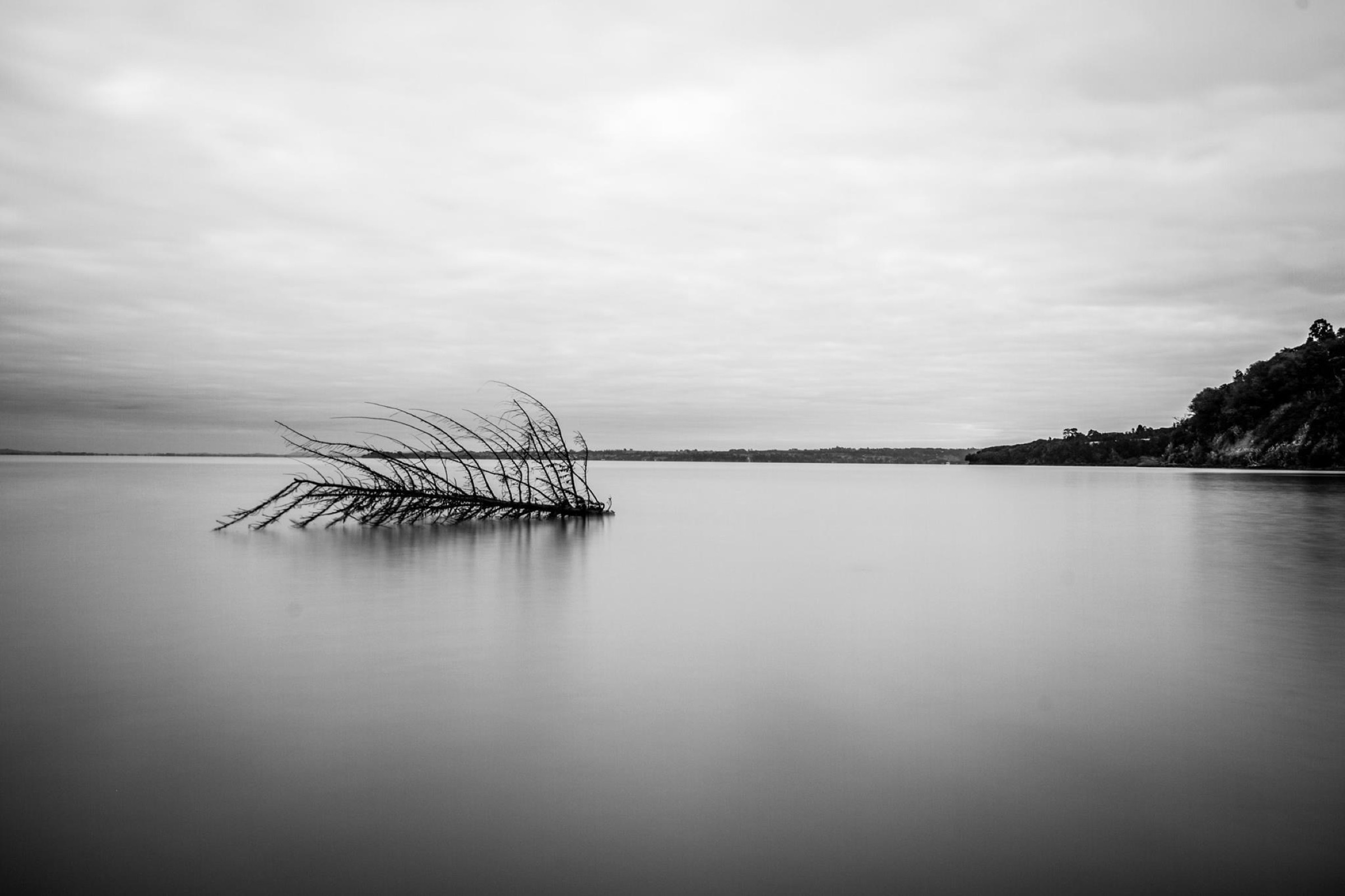 The Shape of Waiting, photograph 4